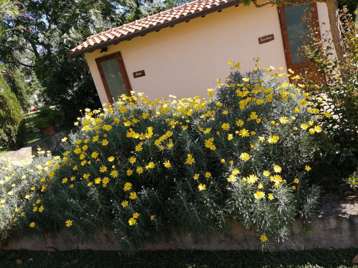 Il Podere Di Sole Roccastrada Ngoại thất bức ảnh