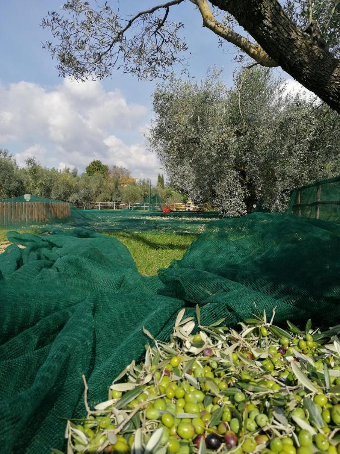 Il Podere Di Sole Roccastrada Ngoại thất bức ảnh