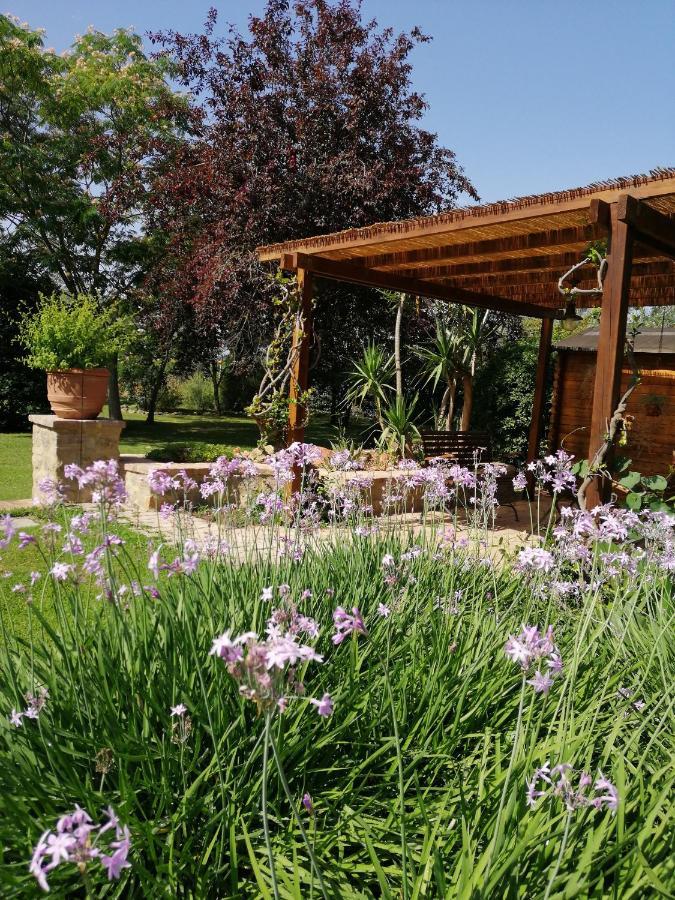 Il Podere Di Sole Roccastrada Ngoại thất bức ảnh
