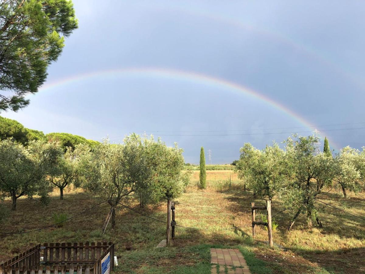 Il Podere Di Sole Roccastrada Ngoại thất bức ảnh