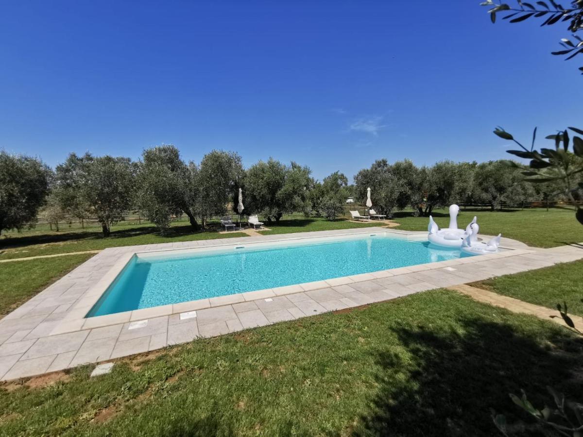 Il Podere Di Sole Roccastrada Ngoại thất bức ảnh